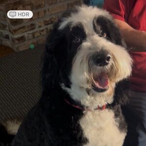 Meet your Posher, Colleen